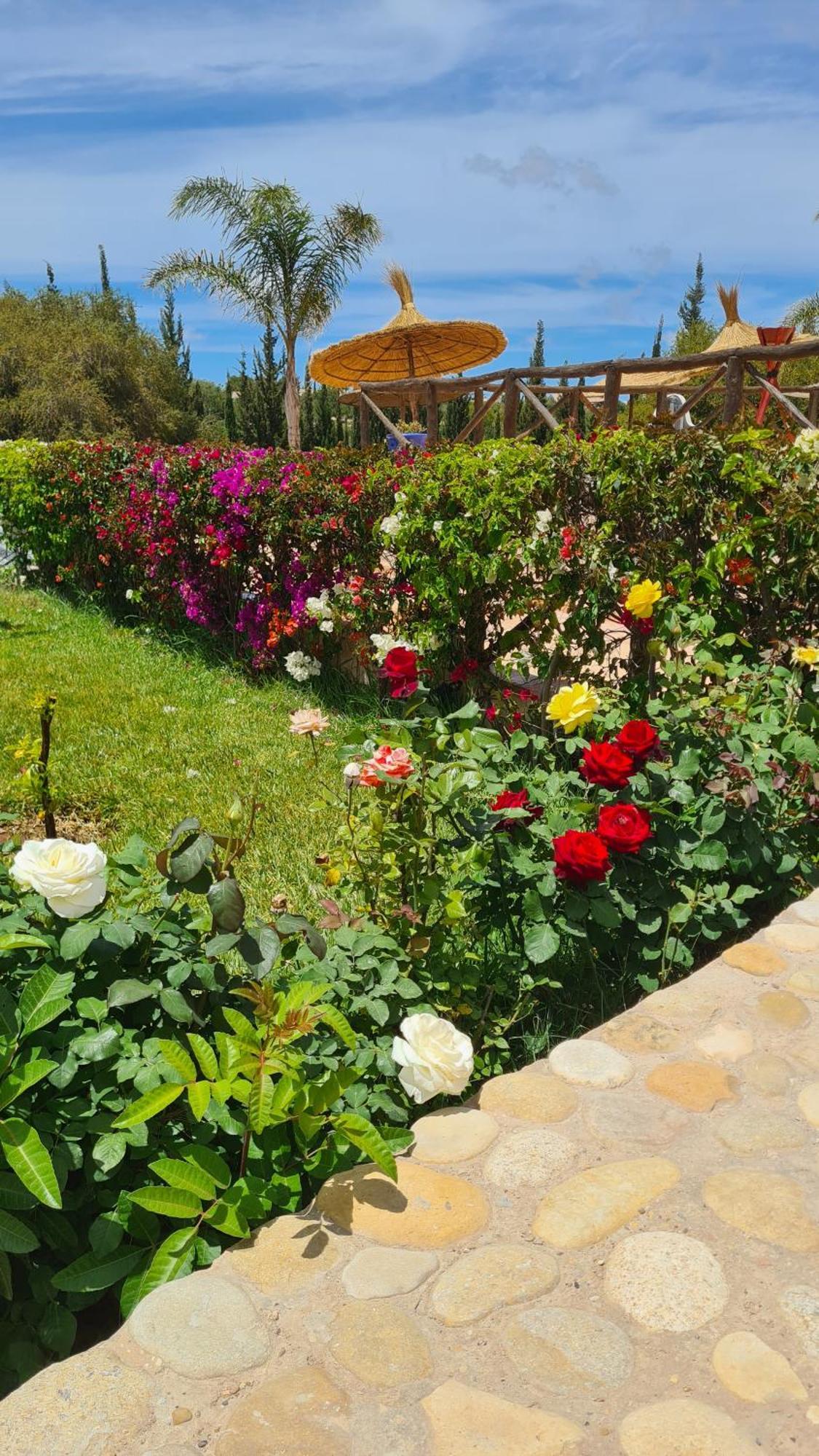 Villa Amma Essaouira Exteriör bild